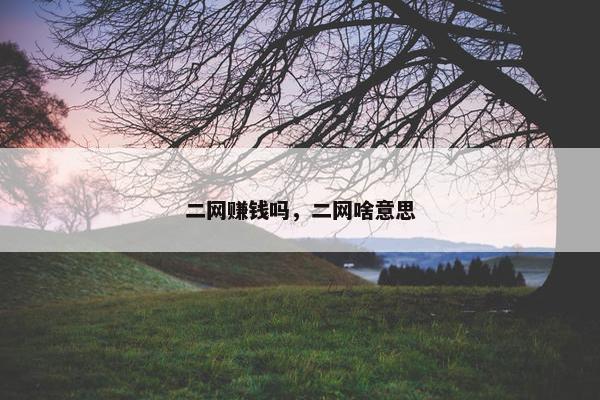 二网赚钱吗，二网啥意思