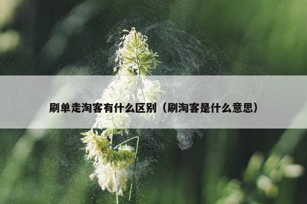 刷单走淘客有什么区别（刷淘客是什么意思）
