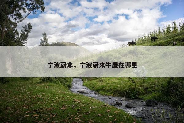宁波蔚来，宁波蔚来牛屋在哪里
