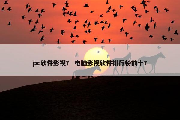 pc软件影视？ 电脑影视软件排行榜前十？