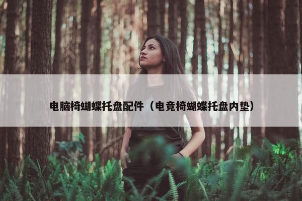 电脑椅蝴蝶托盘配件（电竞椅蝴蝶托盘内垫）