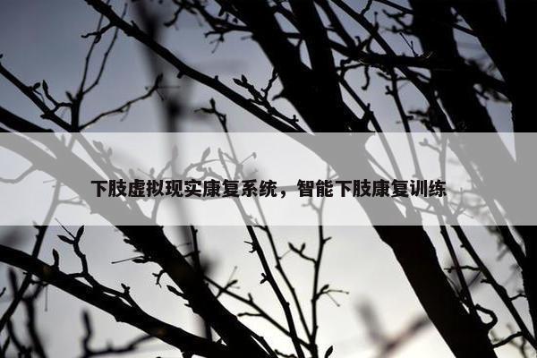 下肢虚拟现实康复系统，智能下肢康复训练