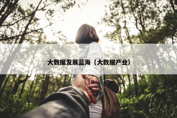 大数据发展蓝海（大数据产业）