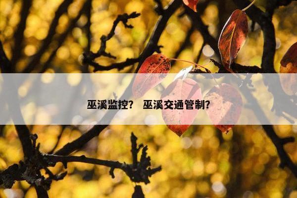 巫溪监控？ 巫溪交通管制？