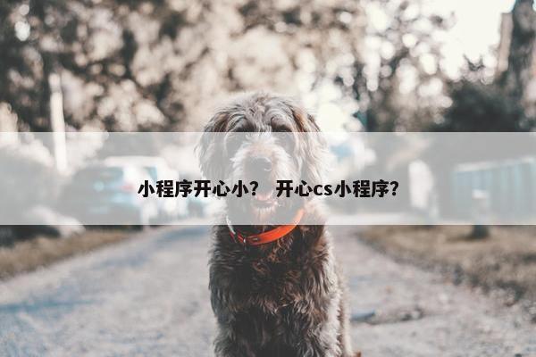 小程序开心小？ 开心cs小程序？