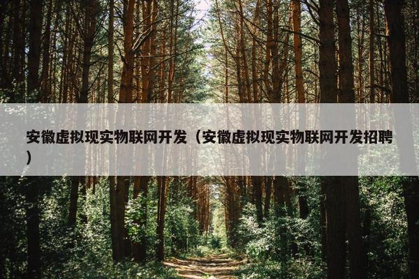 安徽虚拟现实物联网开发（安徽虚拟现实物联网开发招聘）