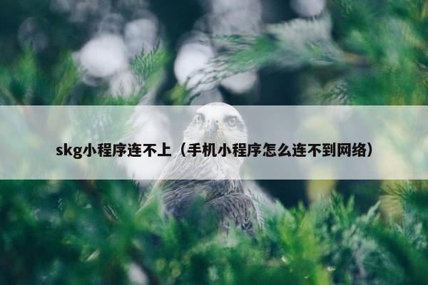 skg小程序连不上（手机小程序怎么连不到网络）