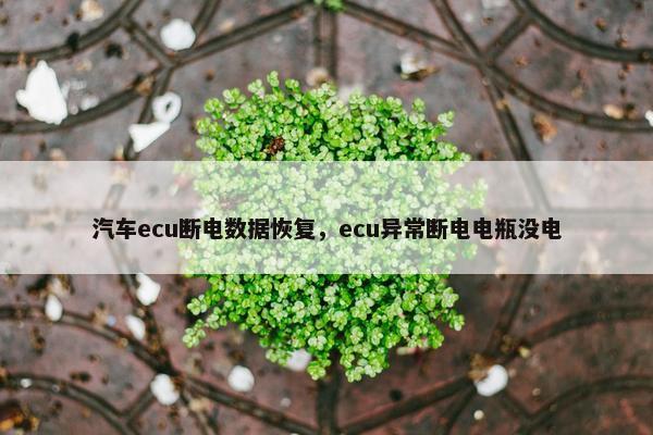 汽车ecu断电数据恢复，ecu异常断电电瓶没电