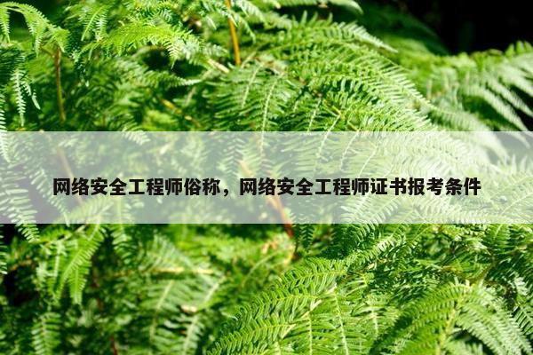 网络安全工程师俗称，网络安全工程师证书报考条件