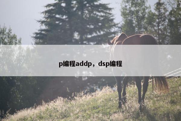 p编程addp，dsp编程
