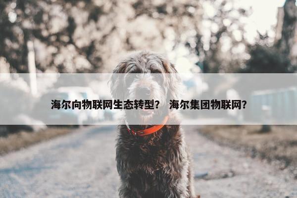 海尔向物联网生态转型？ 海尔集团物联网？