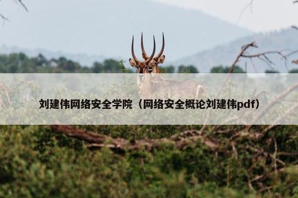 刘建伟网络安全学院（网络安全概论刘建伟pdf）