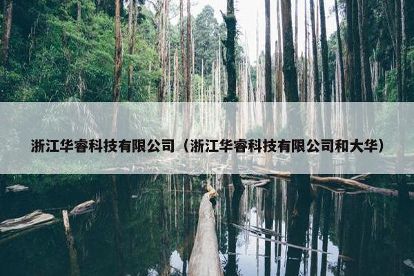 浙江华睿科技有限公司（浙江华睿科技有限公司和大华）
