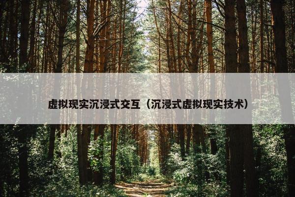 虚拟现实沉浸式交互（沉浸式虚拟现实技术）
