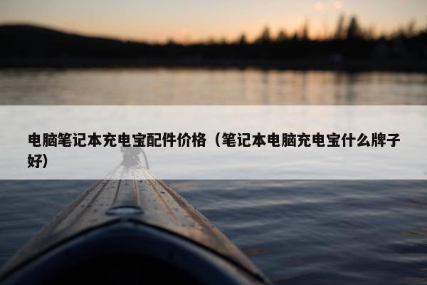 电脑笔记本充电宝配件价格（笔记本电脑充电宝什么牌子好）