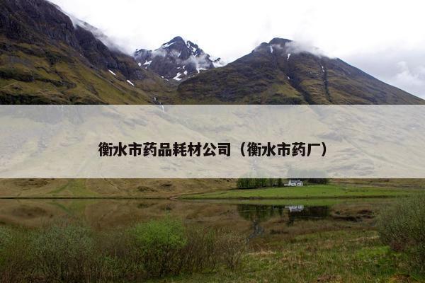 衡水市药品耗材公司（衡水市药厂）