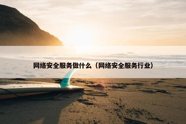 网络安全服务做什么（网络安全服务行业）