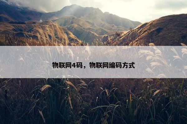 物联网4码，物联网编码方式