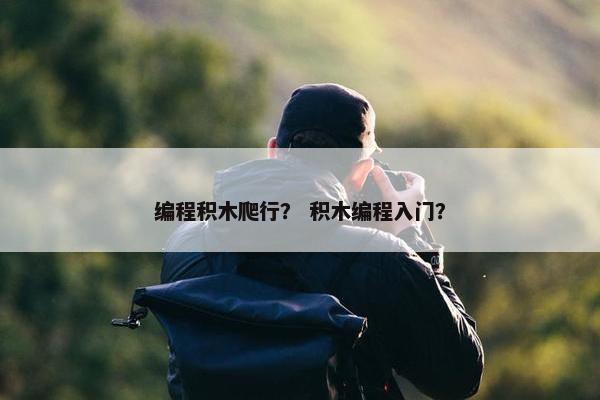 编程积木爬行？ 积木编程入门？