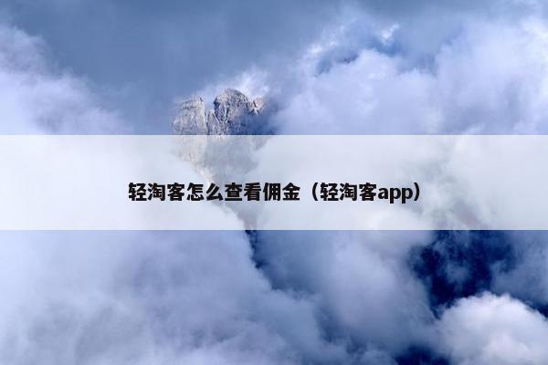 轻淘客怎么查看佣金（轻淘客app）