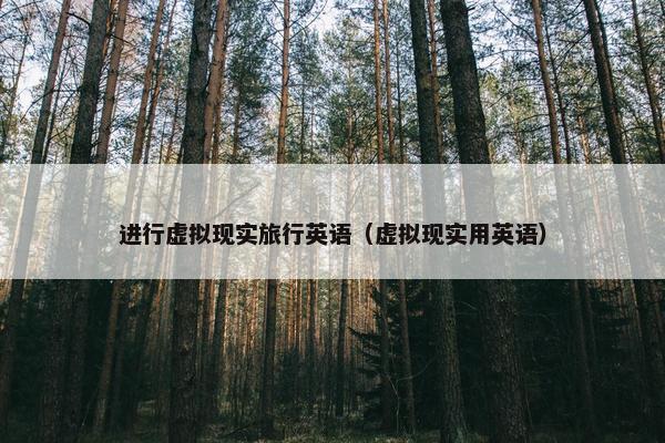 进行虚拟现实旅行英语（虚拟现实用英语）