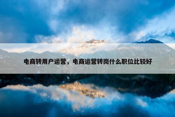 电商转用户运营，电商运营转岗什么职位比较好
