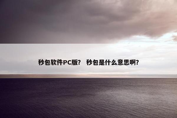 秒包软件PC版？ 秒包是什么意思啊？