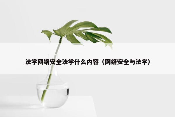 法学网络安全法学什么内容（网络安全与法学）