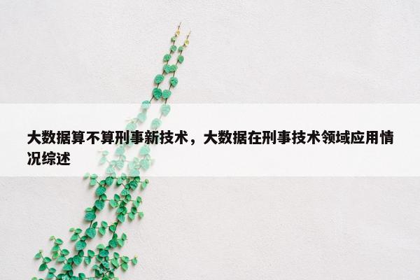 大数据算不算刑事新技术，大数据在刑事技术领域应用情况综述