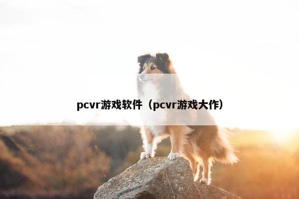 pcvr游戏软件（pcvr游戏大作）