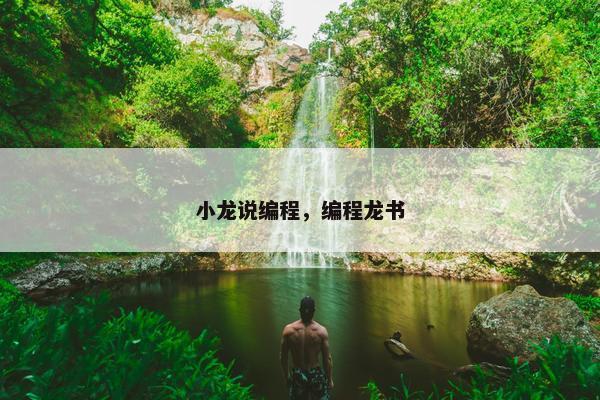 小龙说编程，编程龙书