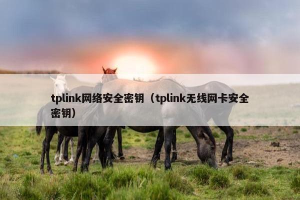 tplink网络安全密钥（tplink无线网卡安全密钥）