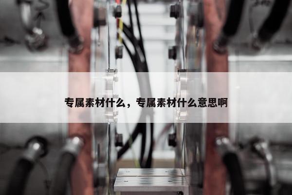 专属素材什么，专属素材什么意思啊