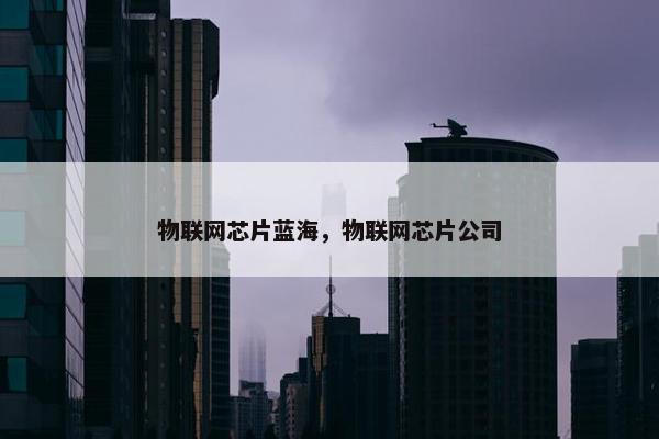 物联网芯片蓝海，物联网芯片公司