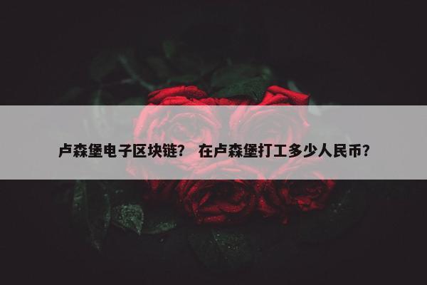 卢森堡电子区块链？ 在卢森堡打工多少人民币？