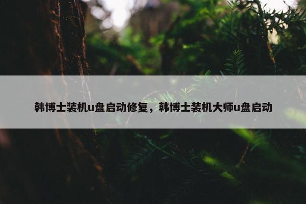 韩博士装机u盘启动修复，韩博士装机大师u盘启动