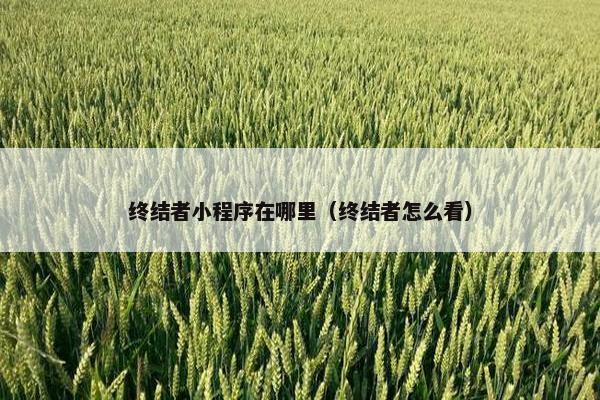 终结者小程序在哪里（终结者怎么看）