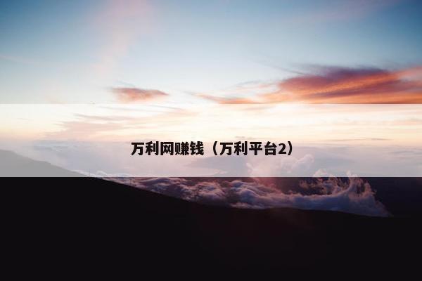 万利网赚钱（万利平台2）