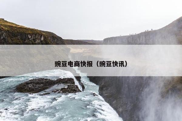 豌豆电商快报（豌豆快讯）
