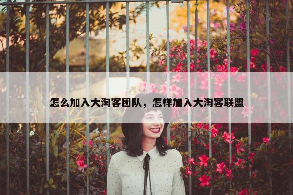 怎么加入大淘客团队，怎样加入大淘客联盟