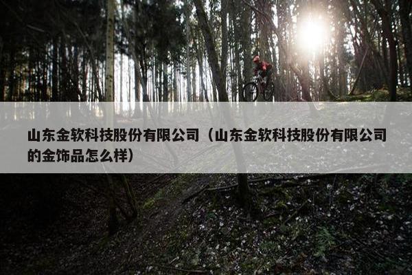 山东金软科技股份有限公司（山东金软科技股份有限公司的金饰品怎么样）