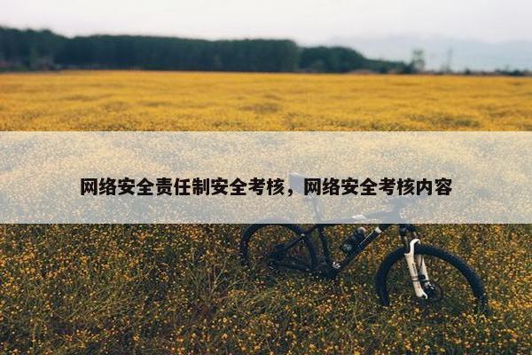 网络安全责任制安全考核，网络安全考核内容