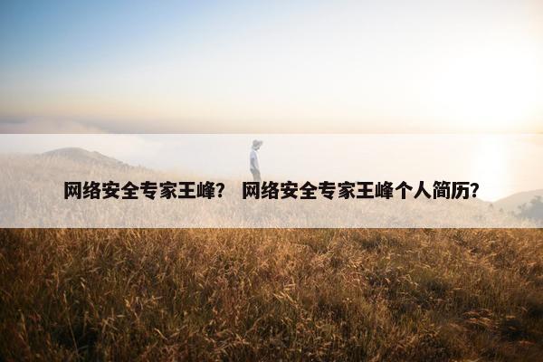 网络安全专家王峰？ 网络安全专家王峰个人简历？