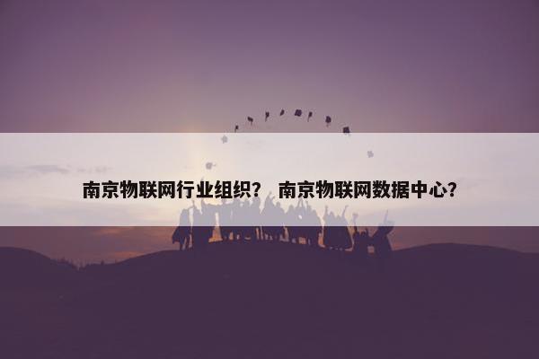 南京物联网行业组织？ 南京物联网数据中心？
