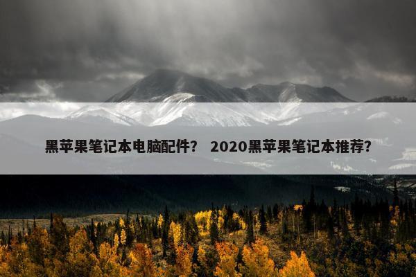 黑苹果笔记本电脑配件？ 2020黑苹果笔记本推荐？