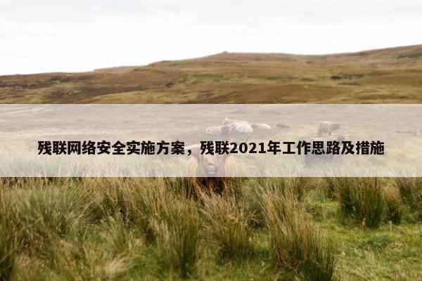 残联网络安全实施方案，残联2021年工作思路及措施