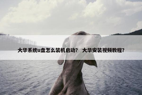 大华系统u盘怎么装机启动？ 大华安装视频教程？