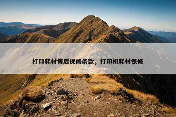 打印耗材售后保修条款，打印机耗材保修