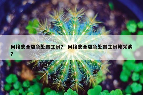 网络安全应急处置工具？ 网络安全应急处置工具箱采购？