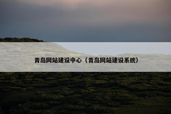 青岛网站建设中心（青岛网站建设系统）